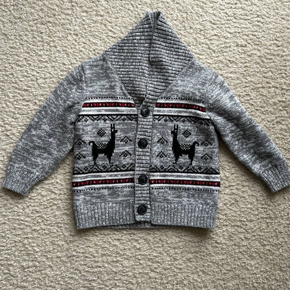 Boys Llama Cardigan